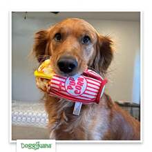 Tuffer Chewer Mini Pl 11ush Dog Toy | Funny Dog Toy Pl 11ush With Juananip Catnip For Dogs | Calming Aid For Dogs | Interactive Squeaky Chew Toy For Play (Pupcorn) - MiniPupcorn - Xem 9