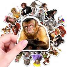 50张趣味猴子贴纸，防水乙烯基材质，成人适用，完美装饰水瓶、笔记本电脑、滑板、手机、剪贴簿、行李箱、吉他、自行车等，可爱动物贴纸套装，青少年和成人可个性化定制物品 - 彩色 - 查看 1