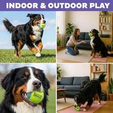 FlyFetch Squeak Ball Dog Toy Extra‑Loud Squeaker Durable Foam Core Floats In Water All Breeds 4" - 如圖所示 - 查看 5