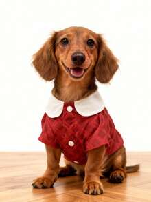 LUCKIE PAL 1pc British Style Red Plaid Pet Shirt, Suitable For Chihuahua & Small Dogs, Effectively Reduces Shedding, Insulating & Breathable For Indoor & Outdoor Wear - Red - View 6