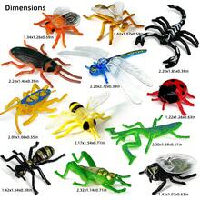 12 Stück/Set Mini realistische Insekt Modell Spielzeuge, inklusive Schabe, Marienkäfer, Heuschrecke, Grashüpfer, Libelle, Hornisse, Skorpion, Biene, Gottesanbeterin, Spinne, Zikade, Fliege, lebensechte Gag Spielwaren, Dekorationen, Frühpädagogisches Lernmodell, Kinderspielzeug, Weihnachtsgeschenk, Winterfarben Block Blöcke, Marienkäfer Flügel - Verschiedenfarbig - Übersicht 2