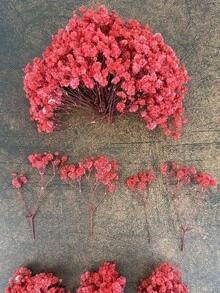 25/50/100/300 unidades de mini gipsófila - Para moldes de resina, artesanato, buquê branco marfim para acessórios de cabelo, coroas de casamento, arranjos de mesa, decoração de casa, etc. - Vermelho - Ver 6