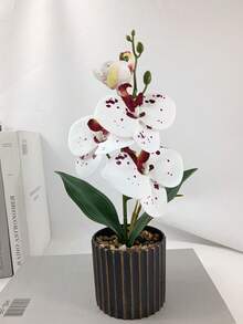 1盆仿真兰花盆栽，紫红色和白色豹纹蝴蝶兰盆栽，假兰花装饰，适合家居、酒店、办公室桌面摆件，带塑料花盆 - 彩色 - 查看 5