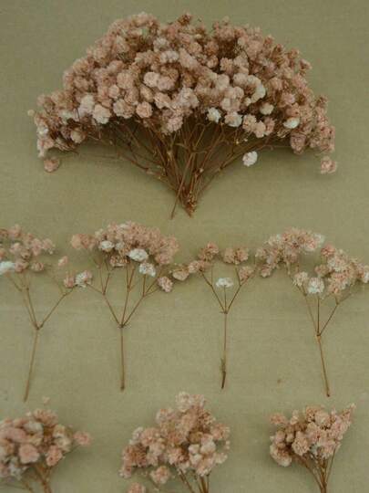 25/50/100/300 朵象牙色迷你满天星 - 用于树脂模具艺术和工艺品、发饰花束、婚礼花环、餐桌中心装饰品、家居装饰等。