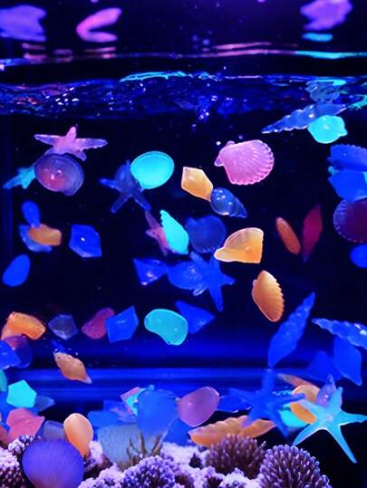 50 viên đá phát sáng trong bóng tối, vỏ sò phát quang, sao biển nhiều màu sắc dùng cho bể cá, hồ cá, sân vườn, chậu cây.