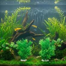 1 cây thủy sinh bằng nhựa cho bể cá - Trang trí bể cá nhân tạo sống động như thật, thích hợp cho môi trường sống của cá, trang trí cảnh quan bể cá, phù hợp với bể cá cảnh. - A - Xem 10