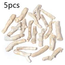 5pcs/Pack Coral Stone Loose Beads Random Shape Multicolor Faux Coral Jewelry Pendant Necklace Charm Accessories DIY Keychain Phone Chain Ornament - Coral - View 12