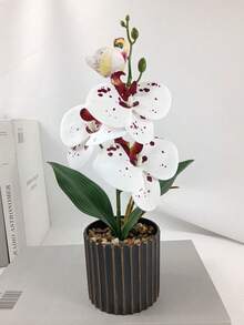 1盆仿真兰花盆栽，紫红色和白色豹纹蝴蝶兰盆栽，假兰花装饰，适合家居、酒店、办公室桌面摆件，带塑料花盆 - 彩色 - 查看 9