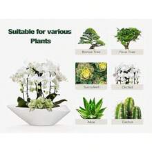 Maceta para árbol de bonsái de cerámica de 12 pulgadas con orificio de drenaje macetas modernas para suculentas para interiores y exteriores maceta decorativa para decoración del hogar - Blanco  negro - Ver 7