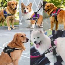 1 pieza Chaleco reflectante con correa, diseño sin tirones con asa y acolchado de malla, adecuado para cachorros XXS-XL, incluye 2 parches de servicio desmontables, suministros para mascotas - Multicolor - Ver 10