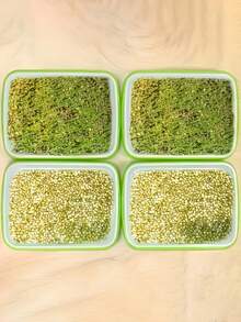 Sprouting Seed Sprouting Kit With Sprouting Tray And Base - Compact Sprouting System For Peas, Beans, Wheat, Pet Grass - Green Sprouting Cultivator With Drainage Holes (Seeds Not Included) - Multicolor - View 5