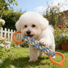 Brinquedo de corda para cães (2 unidades) - Brinquedo resistente com alça dupla e nó, indestrutível para cães que mastigam com força, auxilia na limpeza dos dentes e cuidados dentais, brinquedo interativo de cabo de guerra para todas as raças, mordedor para filhotes (laranja/azul) - Baby Azul - Ver 3