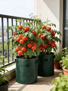 1个圆形绿色透气土豆种植袋，便携式园艺种植袋，带观察窗，适用于花园、庭院、户外、阳台、露台，小规模种植西红柿、土豆、胡萝卜、洋葱、芋头、萝卜等蔬菜水果。 - 墨綠色 - 查看 2