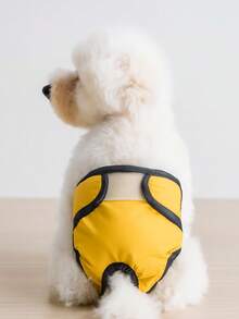 Quần lót sinh lý cho chó có thể giặt và tái sử dụng, chống thấm nước, chống rò rỉ, eo điều chỉnh được, phù hợp cho chó nhỏ và vừa. - Nhiều màu - Xem 10