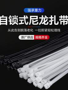 100条尼龙扎带批发，100条尼龙扎带，海外直供，自锁式扎带 - √國標3*200寬2.5mm 100條 - 查看 9