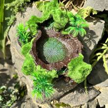 Resin Moss Rock Water Dish Ornament, Simulation Mossy Rock Basin Decor With Artificial Plants, Reptile Terrarium Water Bowl Landscape Decoration For Lizard Gecko - A - View 9