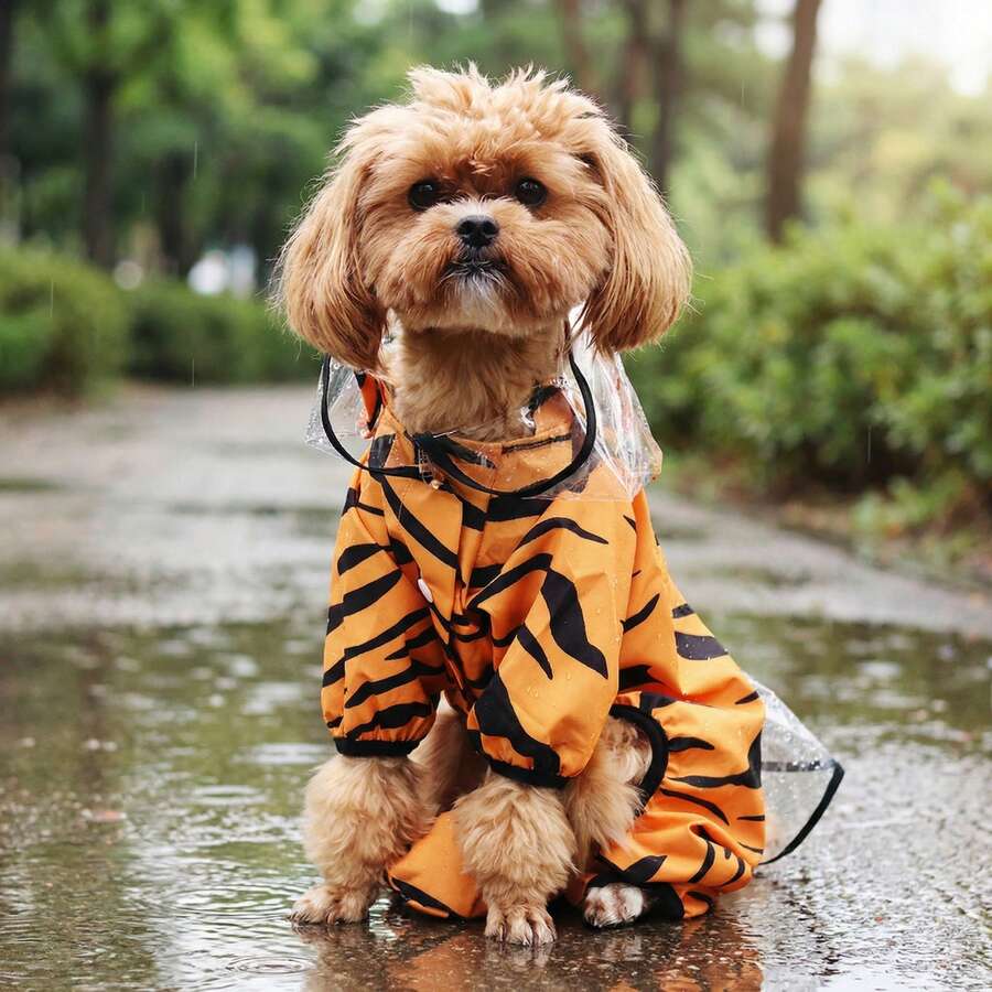 四脚全覆盖宠物雨衣 | M-4XL，虎纹印花设计，带可拆卸尾巴 - 橘色 - 查看 1
