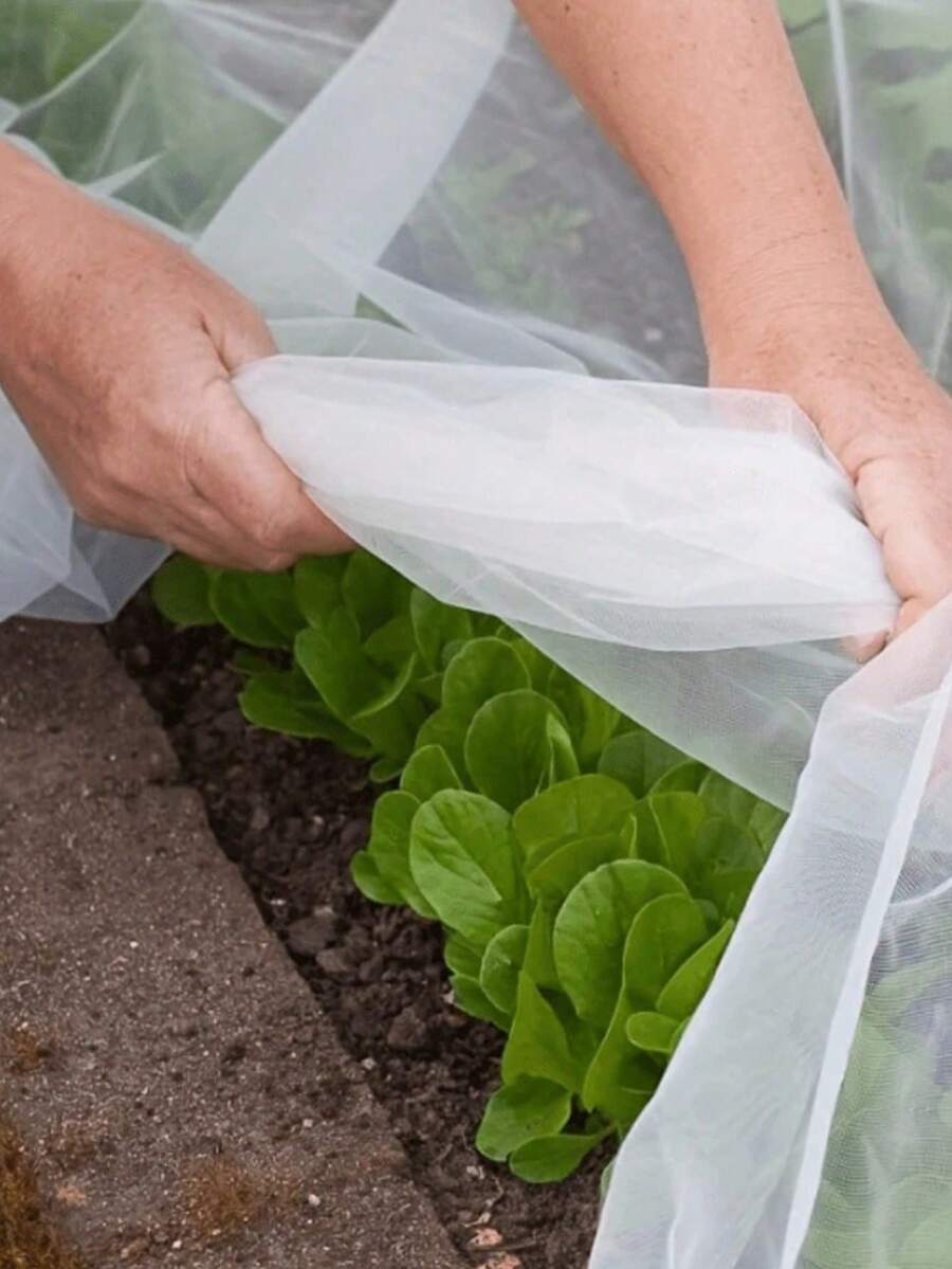 1 Pack Polyethylene Anti-Insect Net, Easy To Cut, Transparent Mesh, Fruit Covering Protection Net, Greenhouse Plant Protection Net, Greenhouse Anti-Insect Net, Plant And Fruit Protection Film - A - View 1