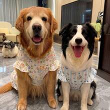一件轻盈的春夏公主风宠物连衣裙，适合中大型犬，例如边境牧羊犬、金毛寻回犬、拉布拉多犬、萨摩耶犬、柯基犬等。 - 白色 - 查看 1