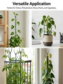 Stackable Plastic Plant Support Rings, Adjustable Branch Holders And Plant Cages, Suitable For Climbing Plants, Moss, Indoor And Outdoor Potted Flowers - Multicolor - View 8