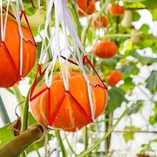 10/30pcs Heavy Duty Watermelon Hanging Net Bags - Large Capacity Net Bags For Supporting Watermelon, Pumpkin And Pineapple Growth - Durable White Material And Easy To Use - 10 - View 1