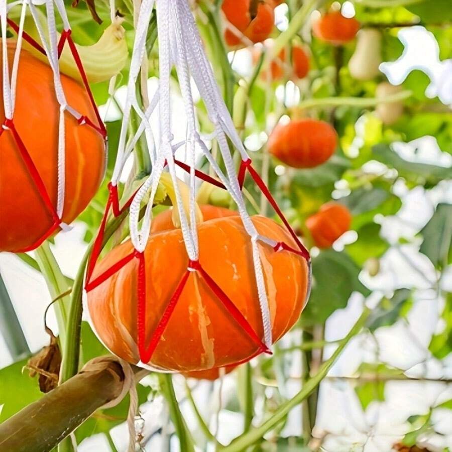 10/30pcs Heavy Duty Watermelon Hanging Net Bags - Large Capacity Net Bags For Supporting Watermelon, Pumpkin And Pineapple Growth - Durable White Material And Easy To Use - 10 - View 1