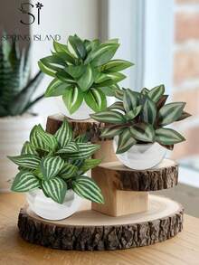 Bộ 3 cây bạc hà mini nhân tạo, lá nhiệt đới, chậu màu trắng làm bằng chất liệu PE. Thích hợp để trang trí bàn làm việc, ký túc xá sinh viên và văn phòng. Cây nhân tạo cũng phù hợp để trang trí nhà cửa, trang trí cảnh quan, trang trí tiệc/ngày lễ và tiệc sinh nhật, dùng được quanh năm, là món quà lý tưởng cho người yêu cây cảnh, quà lưu niệm. - Xanh-B - Xem 2