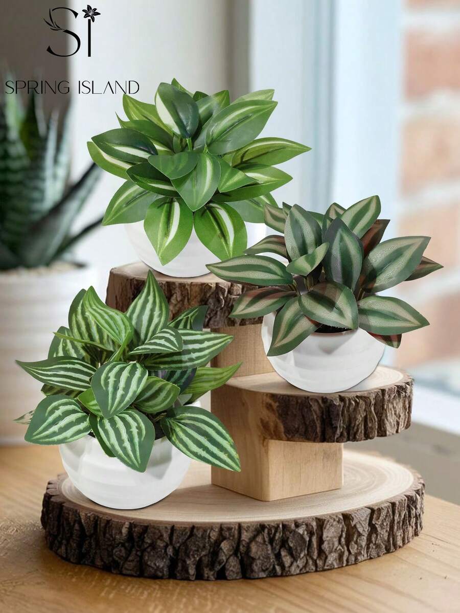 Bộ 3 cây bạc hà mini nhân tạo, lá nhiệt đới, chậu màu trắng làm bằng chất liệu PE. Thích hợp để trang trí bàn làm việc, ký túc xá sinh viên và văn phòng. Cây nhân tạo cũng phù hợp để trang trí nhà cửa, trang trí cảnh quan, trang trí tiệc/ngày lễ và tiệc sinh nhật, dùng được quanh năm, là món quà lý tưởng cho người yêu cây cảnh, quà lưu niệm.