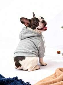 1pc Gray Solid Color Korean Style Raglan Sleeve Simple Versatile Pet Hoodie, Warm And Comfortable Basic Cat/Dog Indoor/Outdoor Sweatshirt - Grey - View 6