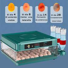Egg Handling Supplies - US A Type Plug(110-127V) - View 2