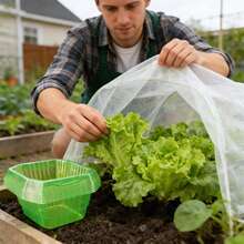 5/10个装花园植物罩，植物花园保护罩，防虫防霜冻，草坪护理园艺工具 - 八邊形 - 查看 3