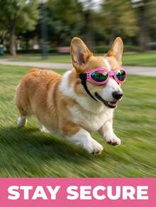 Foldable Pet Fashion Sunglasses, Suitable For Small And Medium Dogs, Adjustable Strap, Multi-Functional Anti-Wind Protective Goggles, Suitable For Outdoor Driving And Cycling, UV Protection And Dust-Proof, Protect Pet Dog Cat Eyes, Pet Dog Birthday Sunglasses Accessories - Multicolor - View 5