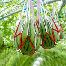 10/30pcs Heavy Duty Watermelon Hanging Net Bags - Large Capacity Net Bags For Supporting Watermelon, Pumpkin And Pineapple Growth - Durable White Material And Easy To Use - 10 - View 3