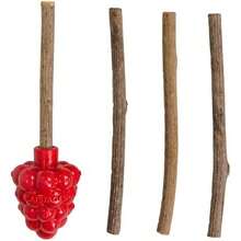 Catstages Dental Raspberry Teether With 4 Silvervine Sticks Included, Cat And Kitten Teething Toy, Red - / - Xem 1
