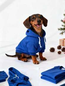 1pc Klein Blue Solid Color Korean Style Raglan Sleeve Minimalist Versatile Pet Hoodie, Warm And Comfortable All-Match Design For Cats And Dogs, Suitable For Indoor And Outdoor Use - Royal Blue - View 6