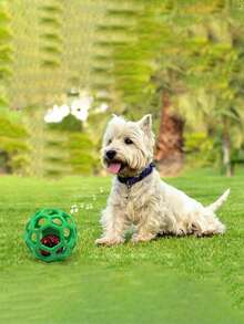 1pc Pet Chasing Toy Hollow TPR Bouncy Ball With Bell, Squeaky Toy For Teeth Cleaning & Training, Suitable For Cats & Dogs (Random Color) - Multicolor - View 3