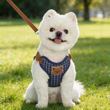 1 Set Dog Harness & Leash, Adjustable Chest Strap + Leash Set, Anti-Pulling Pet Harness, Fashionable Plaid Dog Chest Strap, Pet Leash For Walking Small/Medium Dogs & Cats - Multicolor - View 4