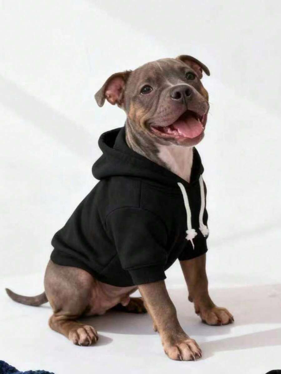 1pc Black Solid Color Korean Style Raglan Sleeve Simple Versatile Pet Hoodie, Warm And Comfortable Basic Cat/Dog Indoor/Outdoor Sweatshirt - Black - View 1