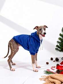 1pc Klein Blue Solid Color Korean Style Raglan Sleeve Minimalist Versatile Pet Hoodie, Warm And Comfortable All-Match Design For Cats And Dogs, Suitable For Indoor And Outdoor Use - Royal Blue - View 5