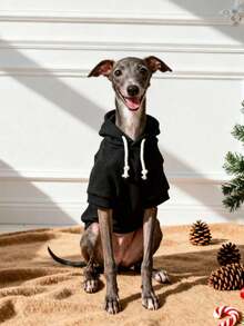 1pc Black Solid Color Korean Style Raglan Sleeve Simple Versatile Pet Hoodie, Warm And Comfortable Basic Cat/Dog Indoor/Outdoor Sweatshirt - Black - View 5