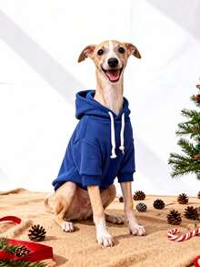 1pc Klein Blue Solid Color Korean Style Raglan Sleeve Minimalist Versatile Pet Hoodie, Warm And Comfortable All-Match Design For Cats And Dogs, Suitable For Indoor And Outdoor Use - Royal Blue - View 10