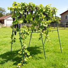 1 Set Durable Metal Climbing Plant Garden Stakes_Used For Tomato_Grape_Cucumber And Passion Fruit Vine Support Poles_Greenhouse And Outdoor Gardening Essential - 18pcs - View 3