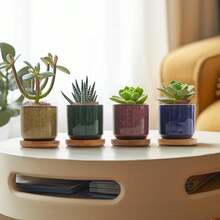 Macetas de cerámica de 6,3 cm para suculentas, cactus y miniplantas – juego de 6 (platillos incluidos) - 6 piezas - Ver 7