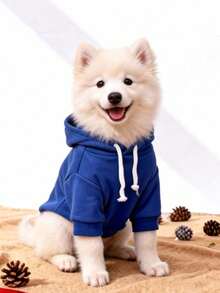 1pc Klein Blue Solid Color Korean Style Raglan Sleeve Minimalist Versatile Pet Hoodie, Warm And Comfortable All-Match Design For Cats And Dogs, Suitable For Indoor And Outdoor Use - Royal Blue - View 8
