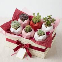 Geometric Heart-Shaped Plastic Small Succulent Planter, Cute Flower Pot Suitable For Desk, Shelf And Home Decor, Colors: Red, Pink, White - Multicolor - View 5