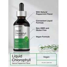 Horbäach Liquid Chlorophyll Drops |   2 Oz |   Vegan, Non-GMO, And Gluten Free Formula |   Natural Peppermint Flavor - 1PCS - 查看 2