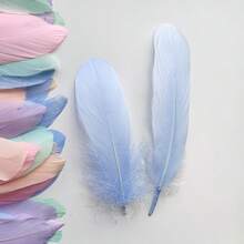 50 Mixed-Color Feathers - High-Quality, Colorful Feathers Suitable For Dreamcatchers, Clothing Accessories, Earring Making, Home Décor, DIY Crafts, Handmade Accessories, Art Decorations, Vibrant Feathers, Lightweight Feathers, Durable Material, Craft Materials, And Fashion Designers. - Nhiều màu - Xem 1