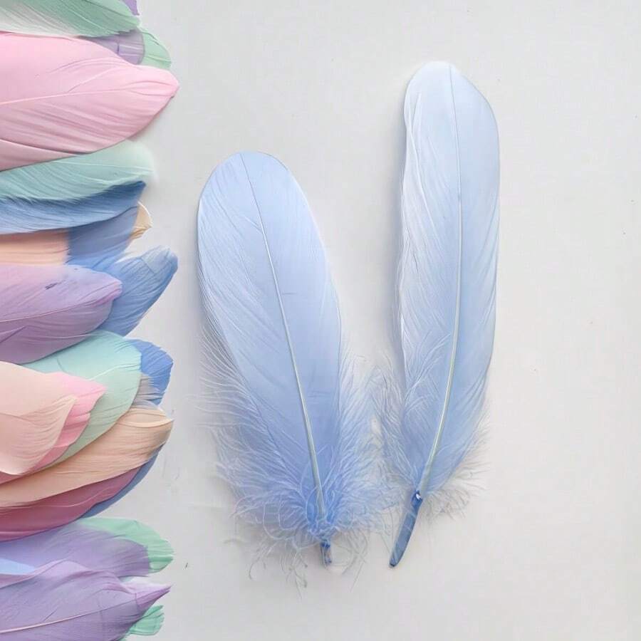 50 Mixed-Color Feathers - High-Quality, Colorful Feathers Suitable For Dreamcatchers, Clothing Accessories, Earring Making, Home Décor, DIY Crafts, Handmade Accessories, Art Decorations, Vibrant Feathers, Lightweight Feathers, Durable Material, Craft Materials, And Fashion Designers. - Nhiều màu - Xem 1