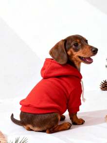 1 pieza Sudadera con capucha para mascotas de estilo coreano de manga raglán rojo sólido, diseño versátil y sencillo, cálida y cómoda para todo uso, adecuada para uso en interiores y exteriores para gatos y perros - Rojo - Ver 12