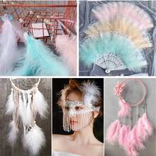 50 Mixed-Color Feathers - High-Quality, Colorful Feathers Suitable For Dreamcatchers, Clothing Accessories, Earring Making, Home Décor, DIY Crafts, Handmade Accessories, Art Decorations, Vibrant Feathers, Lightweight Feathers, Durable Material, Craft Materials, And Fashion Designers. - Nhiều màu - Xem 3